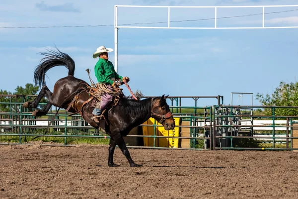 Cowboys Bucking Horse Pincher Creek Ranch Rodeo Canada Juni 2019 — Stockfoto