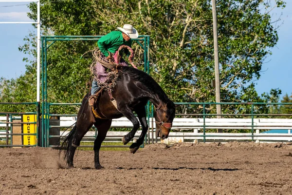 Cowboys Bucking Horse Pincher Creek Ranch Rodeo Canada Juni 2019 — Stockfoto