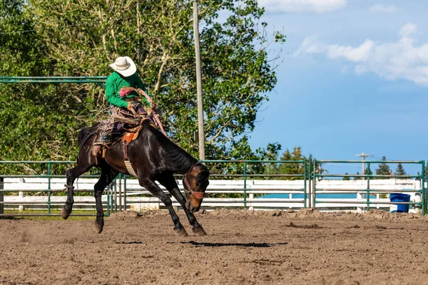 Braves Cowboys Sur Bucking Cheval — Photo