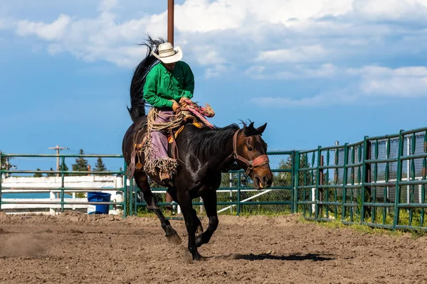 Brave Cowboys on Bucking Horse