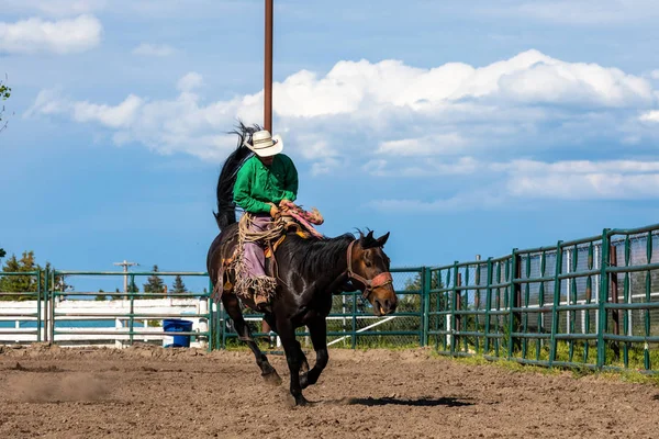 Brave Cowboys on Bucking Horse
