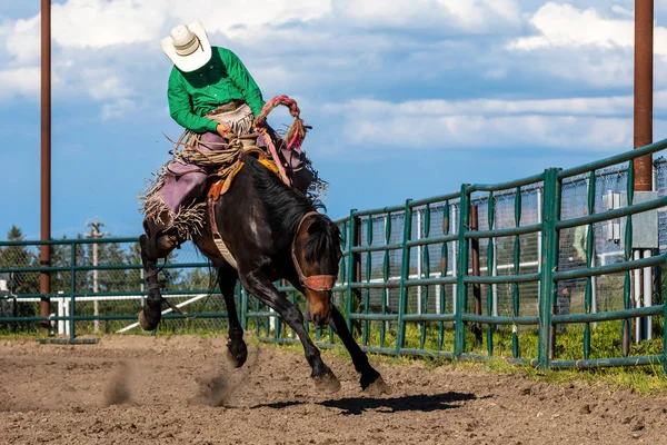 Modiga Cowboys Bucking Horse — Stockfoto