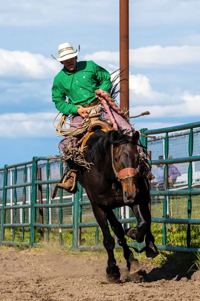 Valientes Vaqueros Caballo Bucking —  Fotos de Stock