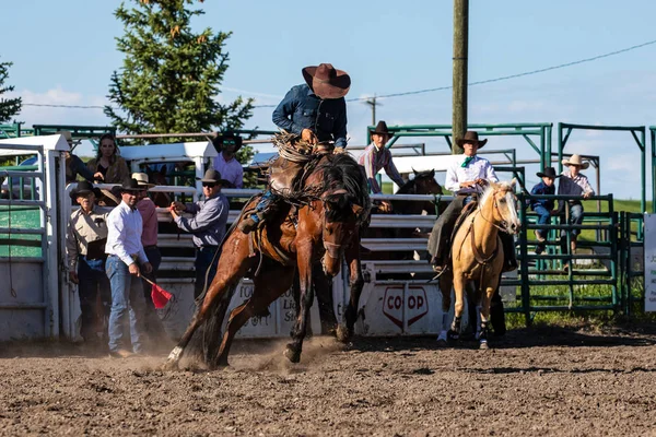 Cowboys Bucking Horse Pincher Creek Ranch Rodeo Kanada 2019 Czerwca — Zdjęcie stockowe