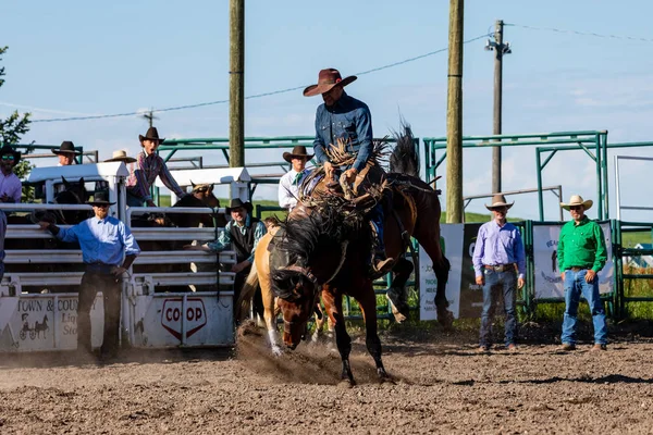 Cowboys Bucking Horse Pincher Creek Ranch Rodeo Canada Anni Giugno — Foto Stock