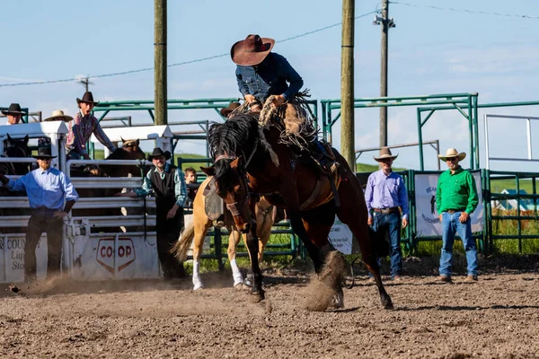 Cowboys Bucking Horse Pincher Creek Ranch Rodeo Kanada 2019 Czerwca — Zdjęcie stockowe