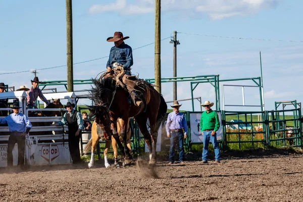 Cowboys Bucking Horse Pincher Creek Ranch Rodeo Canada Juni 2019 — Stockfoto