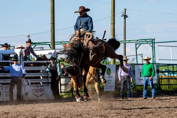 Cowboys Bucking Horse Pincher Creek Ranch Rodeo Kanada 2019 Czerwca — Zdjęcie stockowe