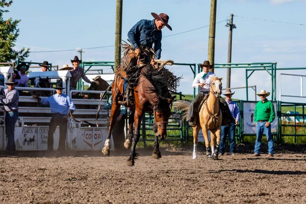 Cowboys Bucking Horse Bij Pincher Creek Ranch Rodeo Canada Juni — Stockfoto