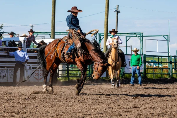 Cowboys Bucking Horse Pincher Creek Ranch Rodeo Canada June 2019 — Stock Photo, Image