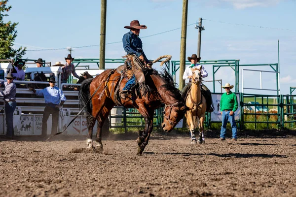 Cowboys Bucking Horse Pincher Creek Ranch Rodeo Canada June 2019 — Stock Photo, Image