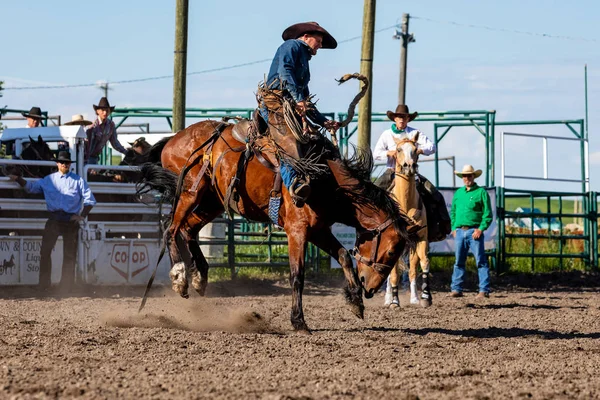Cowboys Bucking Horse Pincher Creek Ranch Rodeo Canada June 2019 — Stock Photo, Image