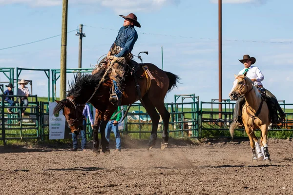 Cowboys Bucking Horse Pincher Creek Ranch Rodeo Canada Juni 2019 — Stockfoto