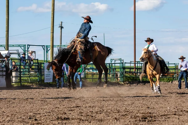 Cowboys Bucking Horse Pincher Creek Ranch Rodeo Kanada 2019 Czerwca — Zdjęcie stockowe