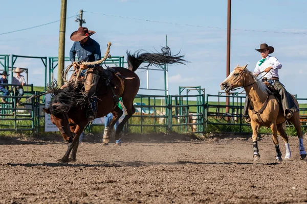 Cowboys Bucking Horse Pincher Creek Ranch Rodeo Kanada 2019 Czerwca — Zdjęcie stockowe