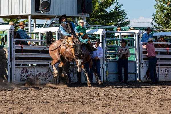 Cowboys Bucking Horse Pincher Creek Ranch Rodeo Kanada 2019 Czerwca — Zdjęcie stockowe