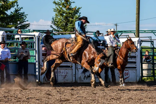 Cowboys Bucking Horse Pincher Creek Ranch Rodeo Canada Ans Juin — Photo