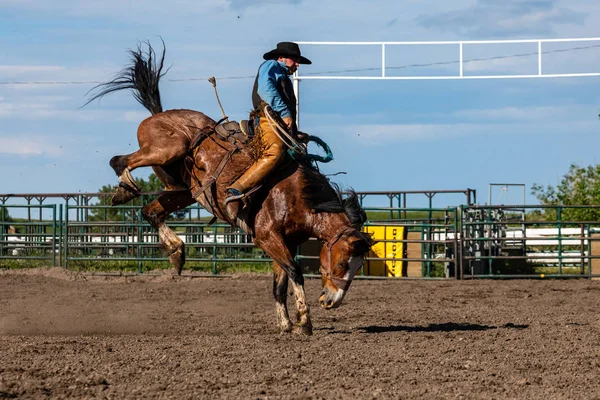 Cowboys Bucking Horse Pincher Creek Ranch Rodeo Canada Ans Juin — Photo