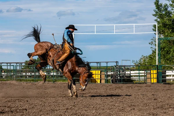 Cowboys Bucking Horse Pincher Creek Ranch Rodeo Canada Junio 2019 — Foto de Stock