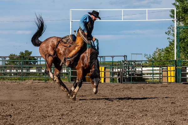 Cowboys Bakugrás Pincher Creek Ranch Rodeo Kanada Június 2019 — Stock Fotó