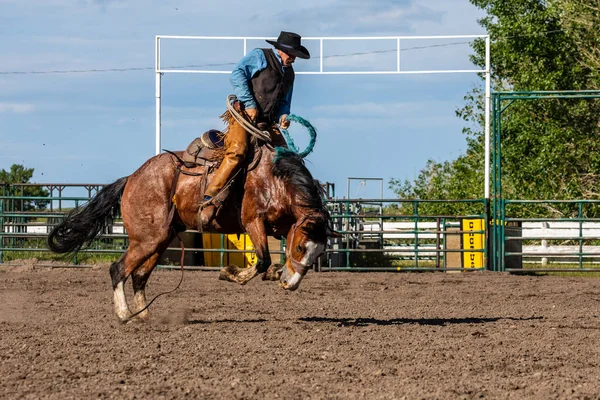 Cowboys Bucking Horse Pincher Creek Ranch Rodeo Canada Juni 2019 — Stockfoto