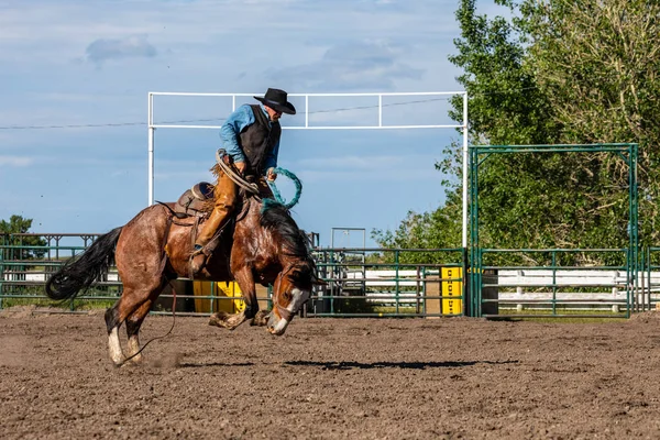 Cowboys Bucking Horse Pincher Creek Ranch Rodeo Canada Juni 2019 — Stockfoto