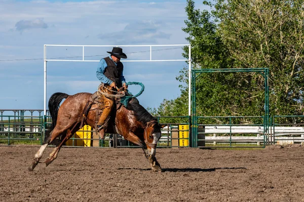 Cowboys Bucking Horse Pincher Creek Ranch Rodeo Canada Ans Juin — Photo