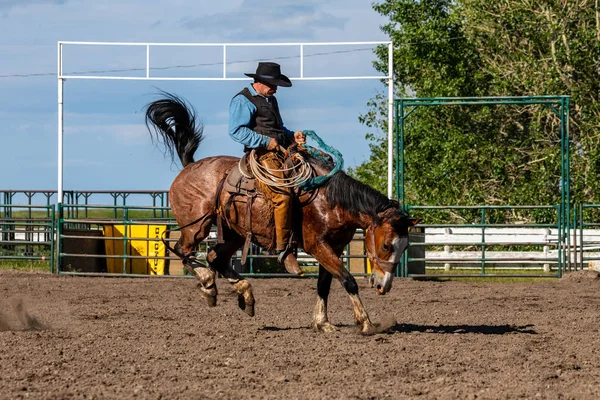 Cowboys Bucking Horse Pincher Creek Ranch Rodeo Canada Ans Juin — Photo