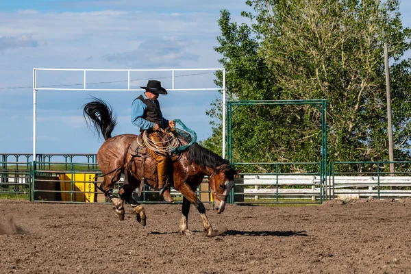 Cowboys Bucking Horse Pincher Creek Ranch Rodeo Canada Anni Giugno — Foto Stock
