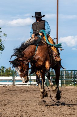 Cowboys On Bucking Horse, Pincher Creek Ranch Rodeo Canada, 16 yaşında. Haziran 2019
