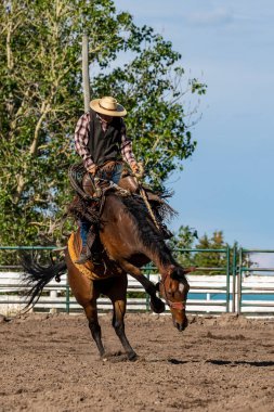 Rodeo ve Bronco Pincher Creek Kanada'da Sürme
