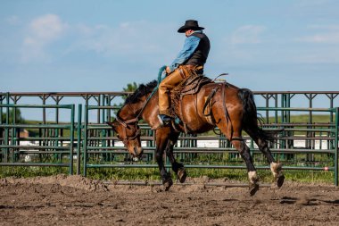 Rodeo ve Bronco Pincher Creek Kanada'da Sürme