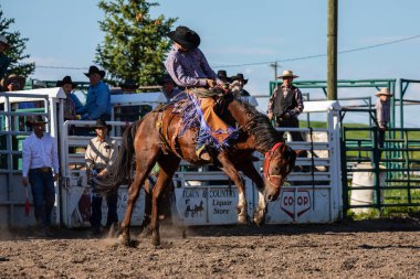 Rodeo ve Bronco Riding Pincher Creek Kanada'da, 16 Haziran 2019