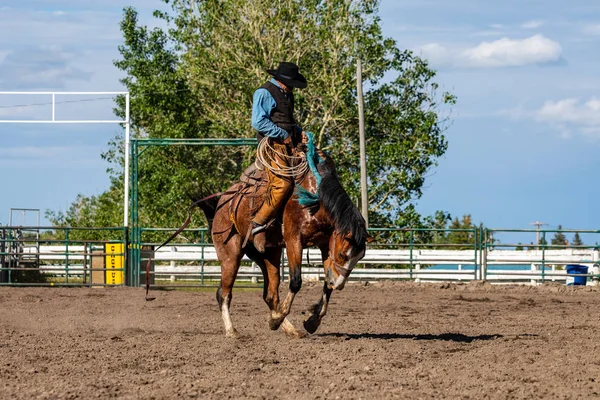 勇敢的牛仔在降马 — 图库照片