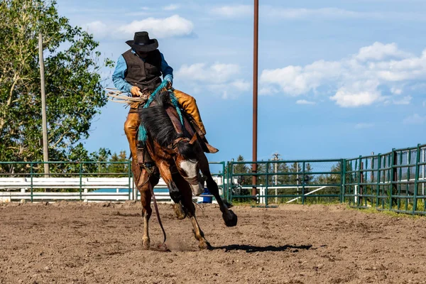 Modiga Cowboys Bucking Horse — Stockfoto