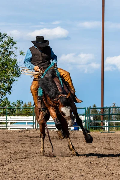 Coraggiosi Cowboy Bucking Horse — Foto Stock