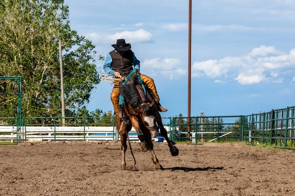 Modiga Cowboys Bucking Horse — Stockfoto