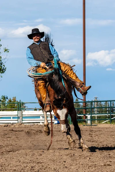 Cowboys Bucking Horse Pincher Creek Ranch Rodeo Canada Juni 2019 — Stockfoto