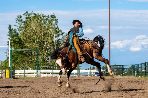 Cowboys Bucking Horse Pincher Creek Ranch Rodeo Canada Anni Giugno — Foto Stock