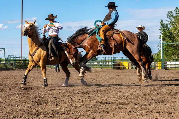 Cowboys Bucking Horse Pincher Creek Ranch Rodeo Canada Juni 2019 — Stockfoto