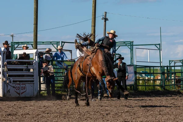 Cowboys Bucking Horse Pincher Creek Ranch Rodeo Kanada 2019 Czerwca — Zdjęcie stockowe