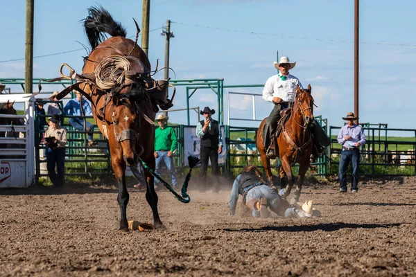 Cowboys Bucking Horse Pincher Creek Ranch Rodeo Canada Anni Giugno — Foto Stock