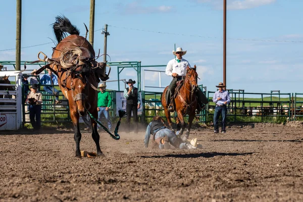 로데오 캐나다에서 호스에 카우보이 2019년 — 스톡 사진