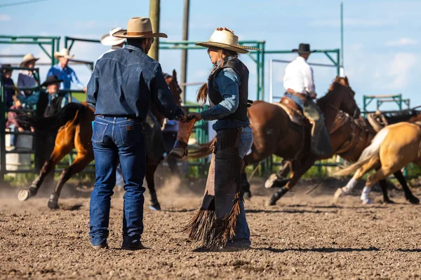 Cowboys Bucking Horse Pincher Creek Ranch Rodeo Canada Anni Giugno — Foto Stock