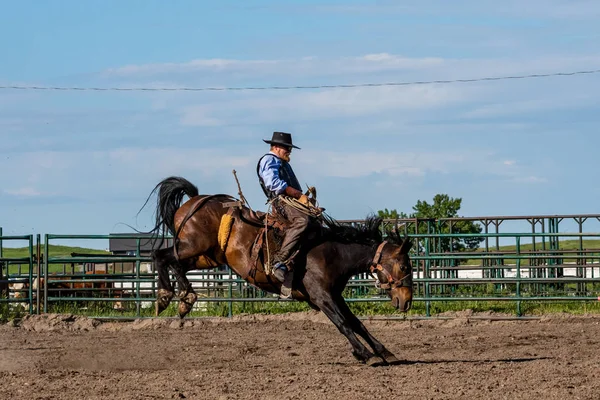 Modiga Cowboys Bucking Horse — Stockfoto