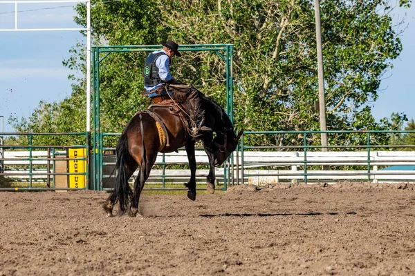 Coraggiosi Cowboy Bucking Horse — Foto Stock