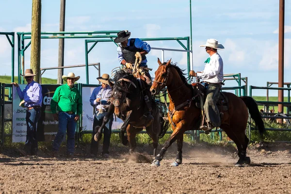 Rodeo Och Bronco Ridning Pincher Creek Canada Juni 2019 — Stockfoto