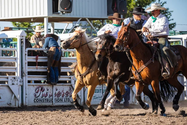 Cowboys Bucking Horse Pincher Creek Ranch Rodeo Canada June 2019 — Stock Photo, Image