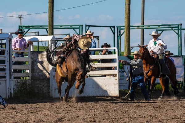 Rodeo Bronco Rijden Pincher Creek Canada Juni 2019 — Stockfoto