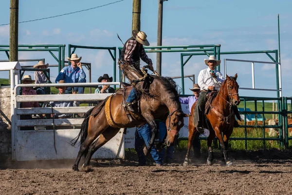 Rodeo Bronco Riding Pincher Creek Canada Czerwca 2019 — Zdjęcie stockowe